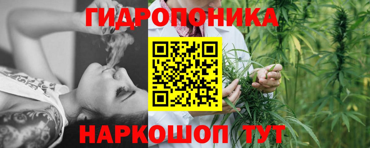 Каннабис индика Муром
